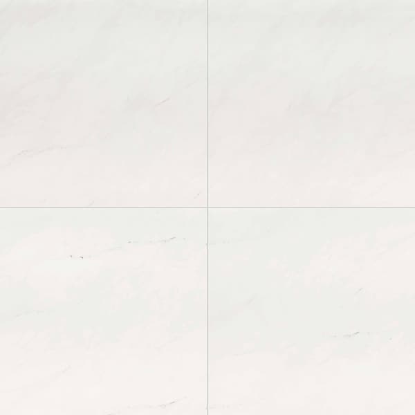 Msi Aria Ice 24 In. X 24 In. Polished Porcelain Floor And Wall Tile, 4PK ZOR-PT-0206 - main